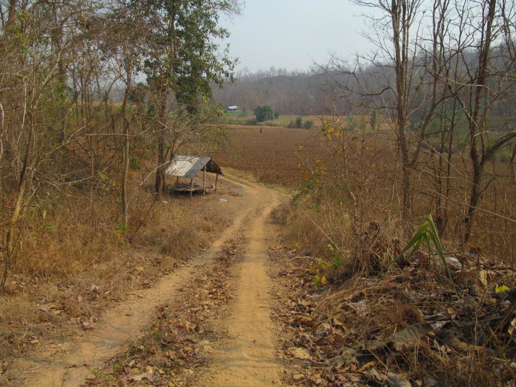 IMG_1594.jpg