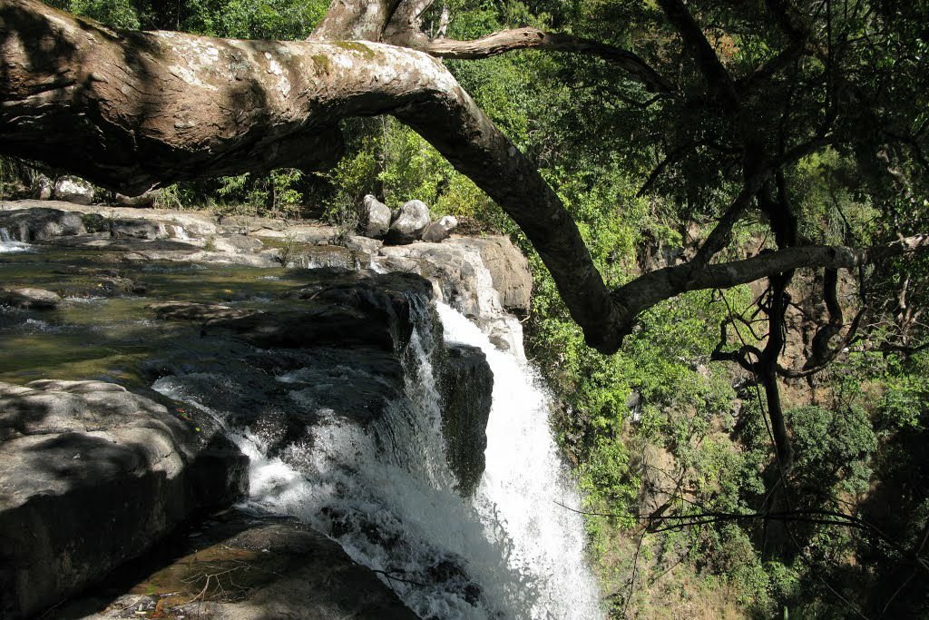 HOUAY MAKCHAMN SIDEVIEW.jpg HOUAY MAKCHAMN SIDEVIEW.jpg