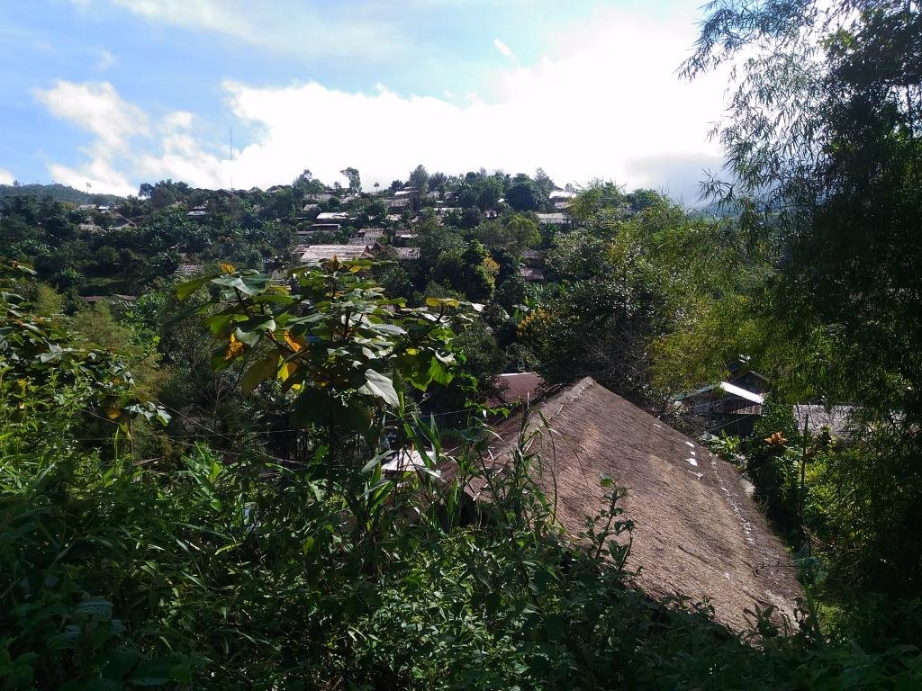 P_20171015_093249.jpg P_20171015_093249.jpg