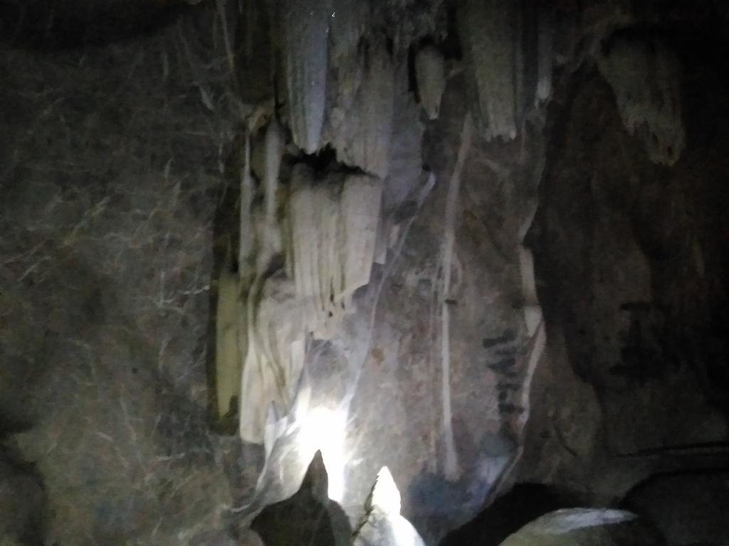 P_20171019_092436.jpg P_20171019_092436.jpg