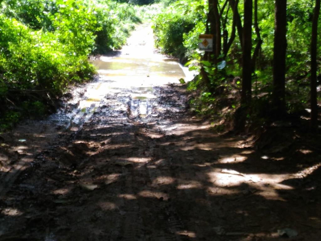 P_20171019_105110.jpg P_20171019_105110.jpg