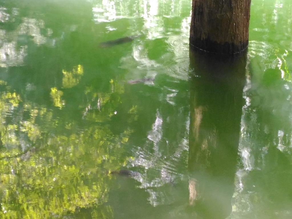 P_20171019_111551.jpg P_20171019_111551.jpg