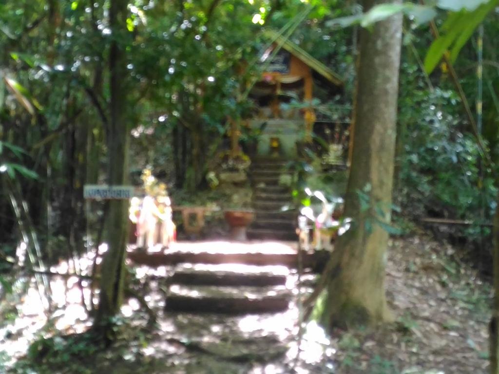 P_20171019_112031.jpg P_20171019_112031.jpg