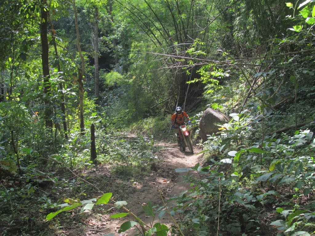 IMG_2602.jpg IMG_2602.jpg