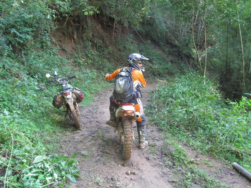 IMG_2767.jpg IMG_2767.jpg
