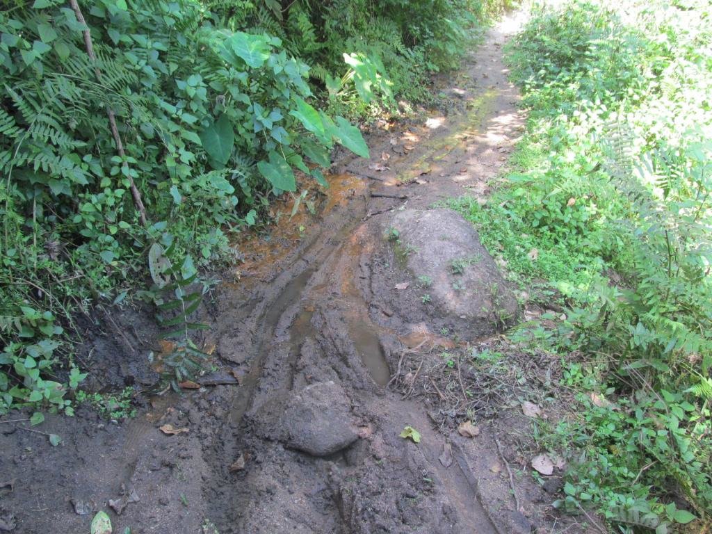 IMG_3175.jpg IMG_3175.jpg
