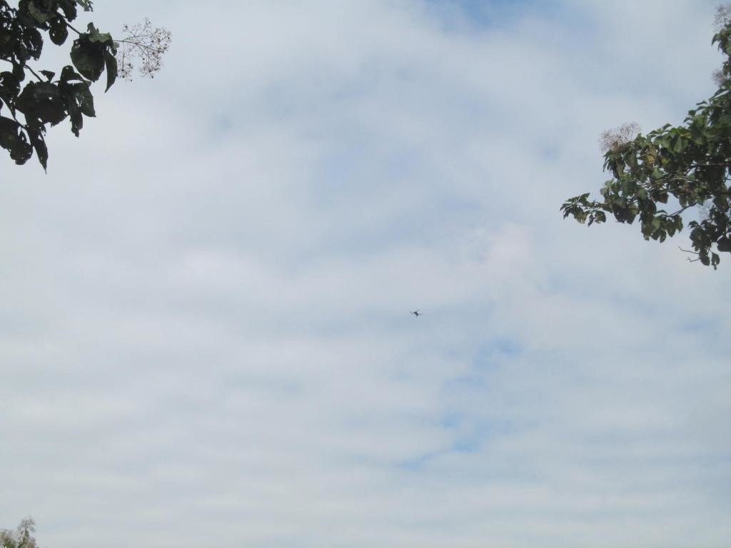 IMG_3527.jpg IMG_3527.jpg