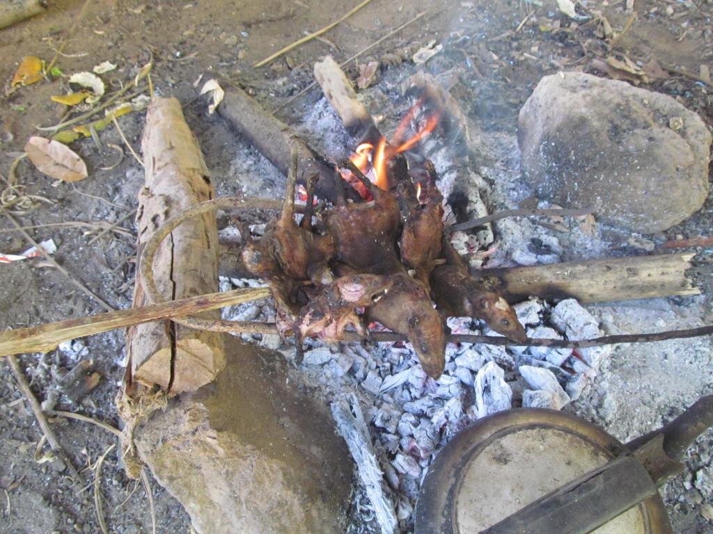 IMG_4165.jpg IMG_4165.jpg