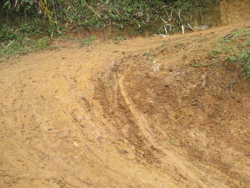 IMG_4412.jpg IMG_4412.jpg