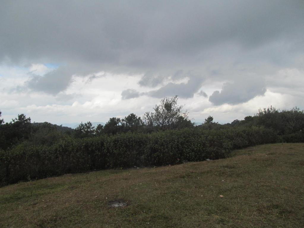 IMG_4801.jpg IMG_4801.jpg