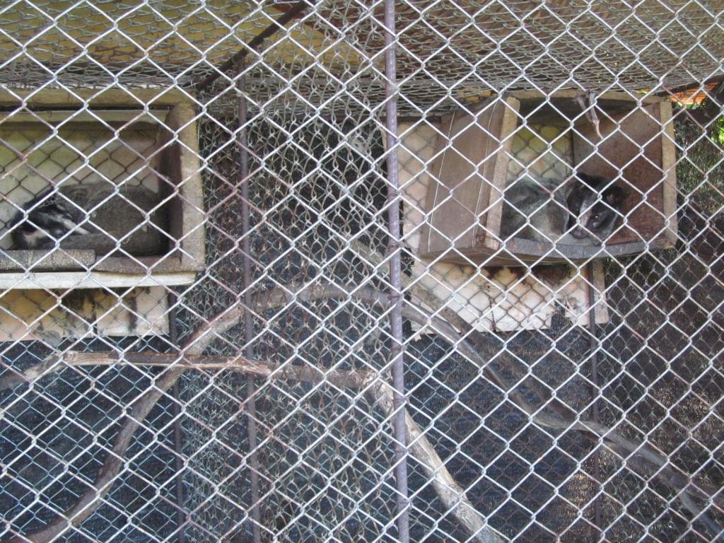 IMG_4991.jpg IMG_4991.jpg