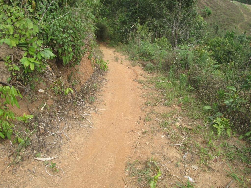 IMG_5169.jpg IMG_5169.jpg