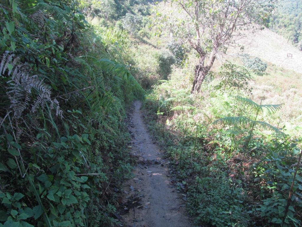 IMG_5455.jpg IMG_5455.jpg