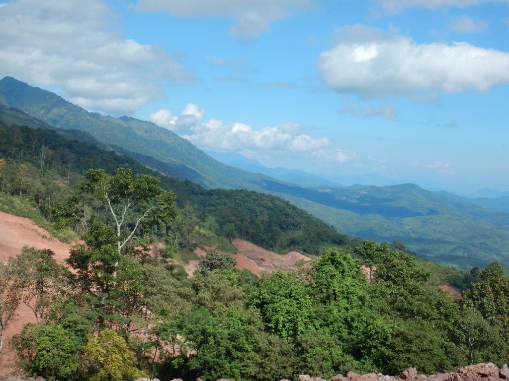 DSCN0807.jpg