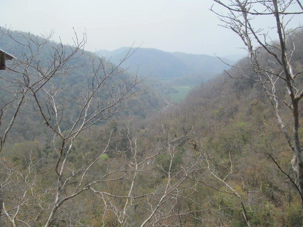 IMG_6648.jpg IMG_6648.jpg