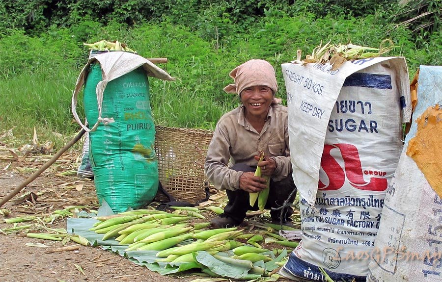 corn-sellers.jpg corn-sellers.jpg