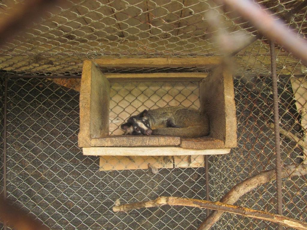 IMG_6678.jpg IMG_6678.jpg