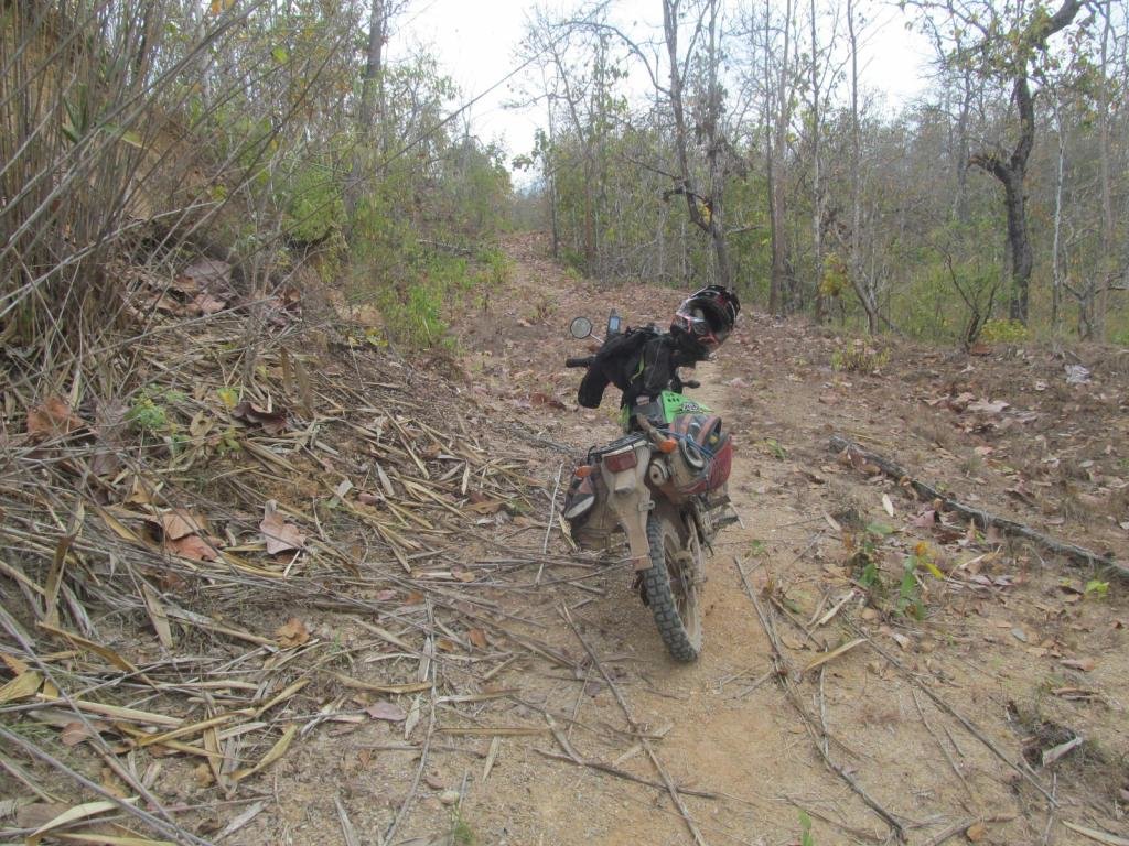 IMG_6729.jpg IMG_6729.jpg