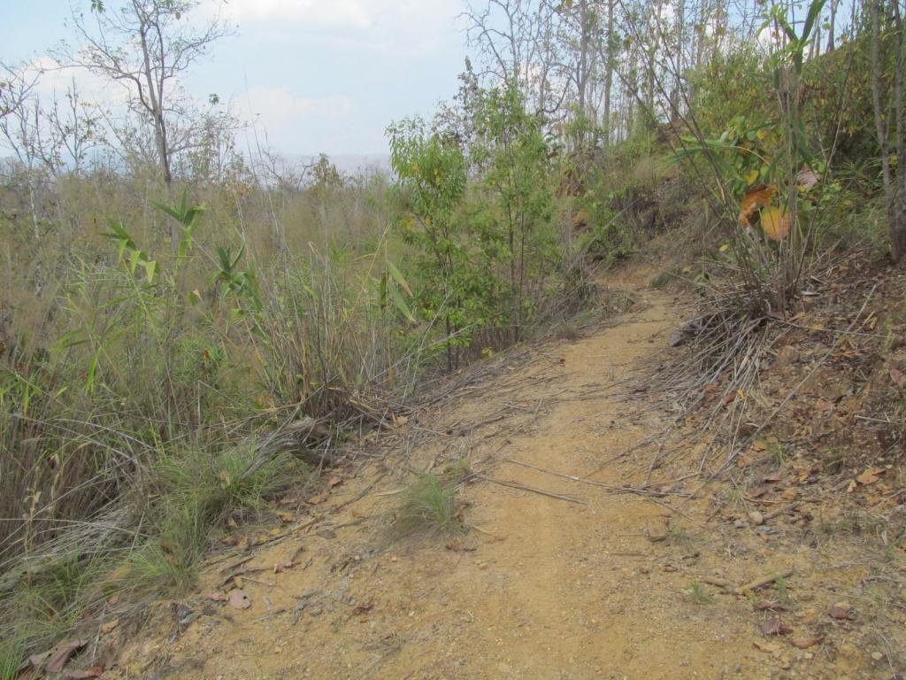 IMG_6730.jpg IMG_6730.jpg