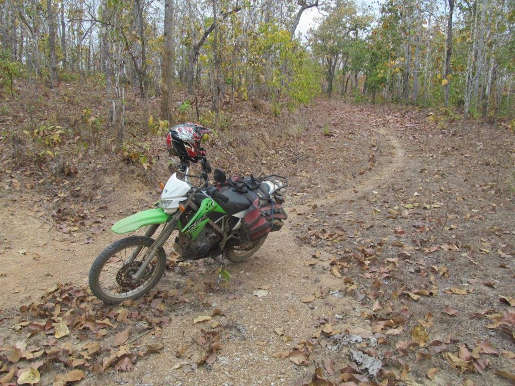 IMG_6732.jpg IMG_6732.jpg