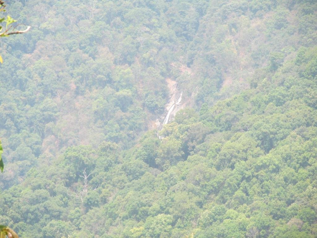 IMG_6930.jpg IMG_6930.jpg