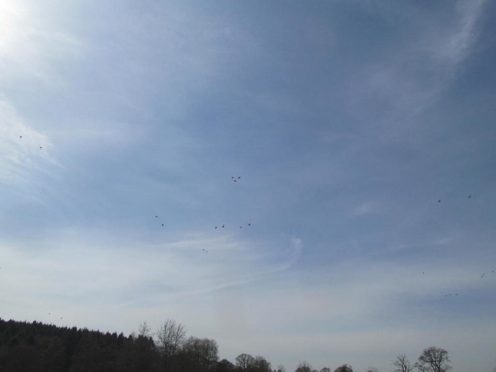 IMG_7075.jpg IMG_7075.jpg