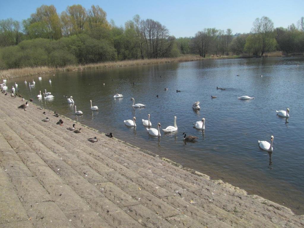 IMG_7148.jpg IMG_7148.jpg