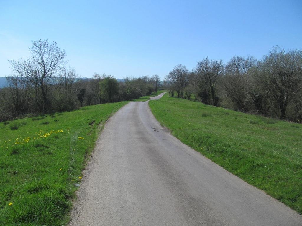 IMG_7159.jpg IMG_7159.jpg