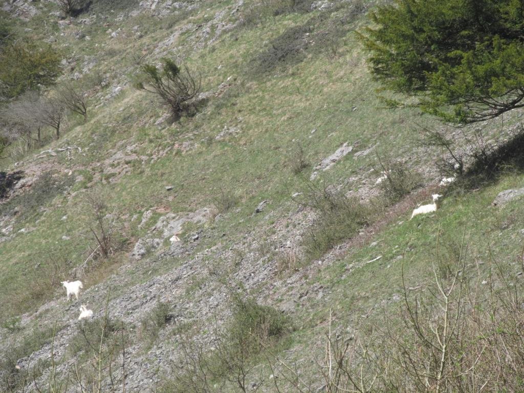 IMG_7185.jpg IMG_7185.jpg