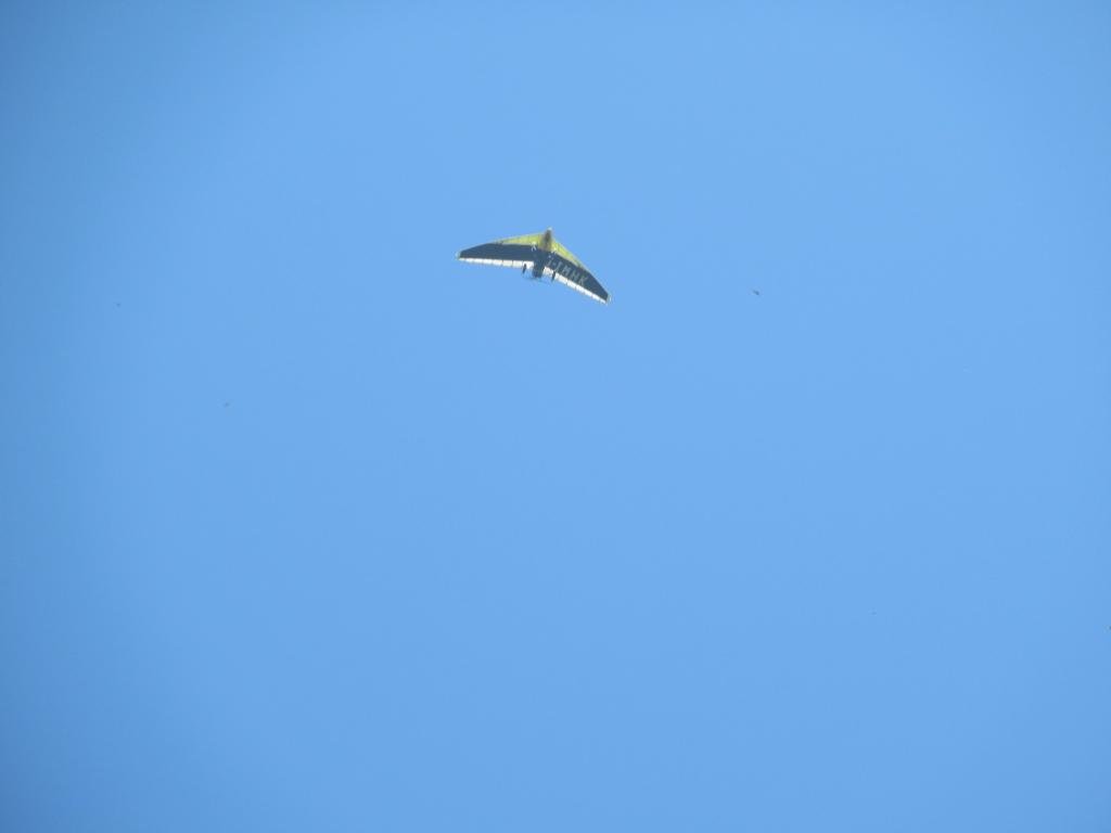 IMG_7462.jpg IMG_7462.jpg