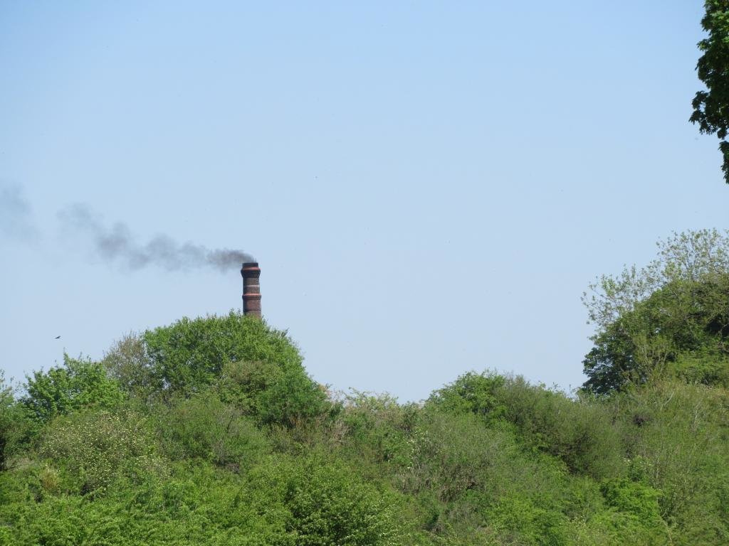 IMG_7606.jpg IMG_7606.jpg