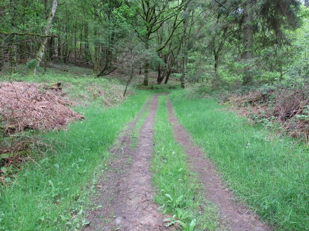 IMG_7736.jpg IMG_7736.jpg