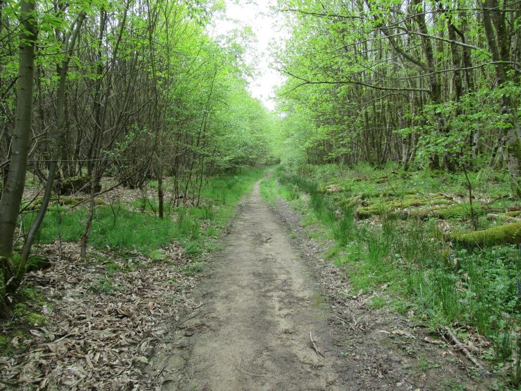 IMG_7737.jpg IMG_7737.jpg