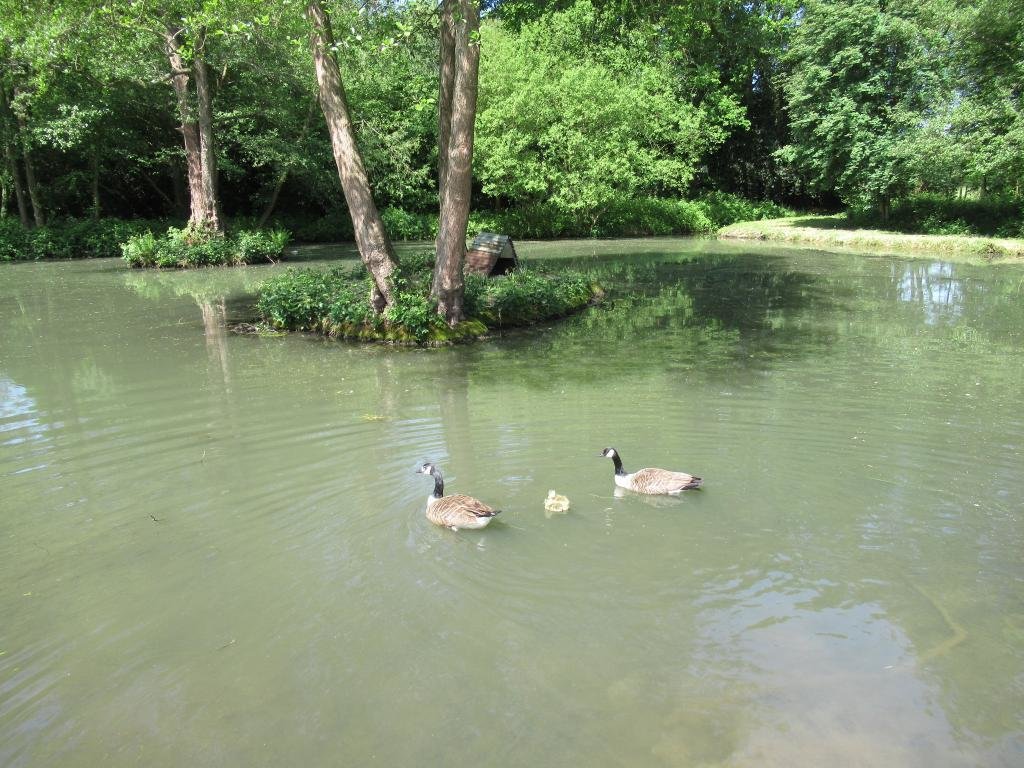 IMG_7792.jpg IMG_7792.jpg