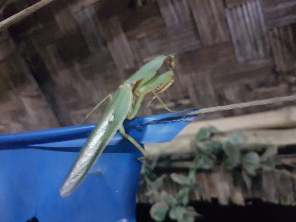 40.jpg 40.jpg