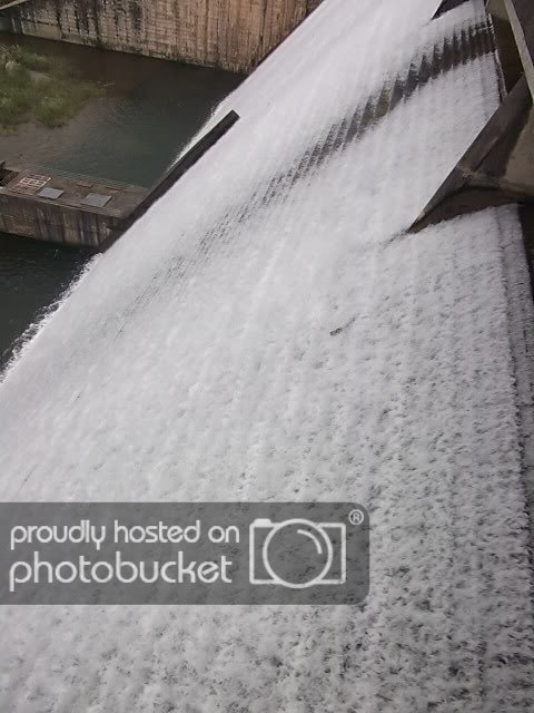 IMG_9758a.jpg IMG_9758a.jpg