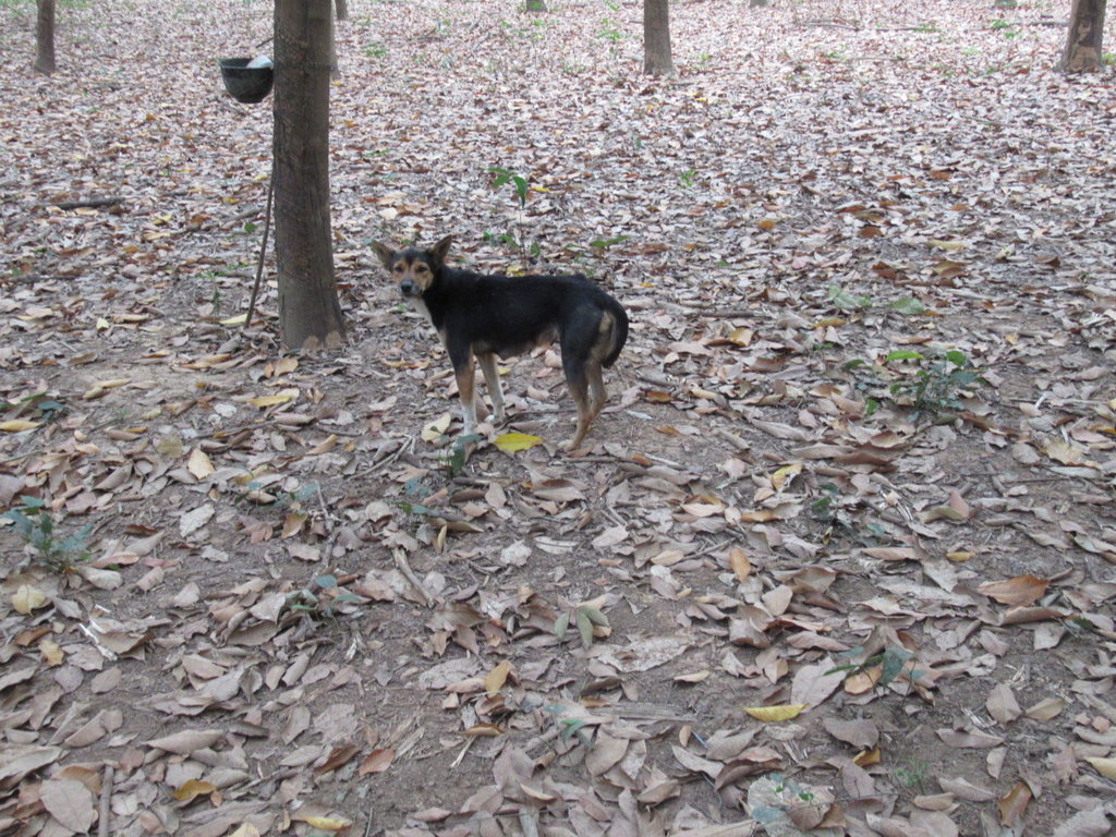 IMG_0566.JPG IMG_0566.JPG