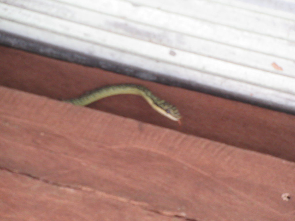 IMG_1508.JPG IMG_1508.JPG