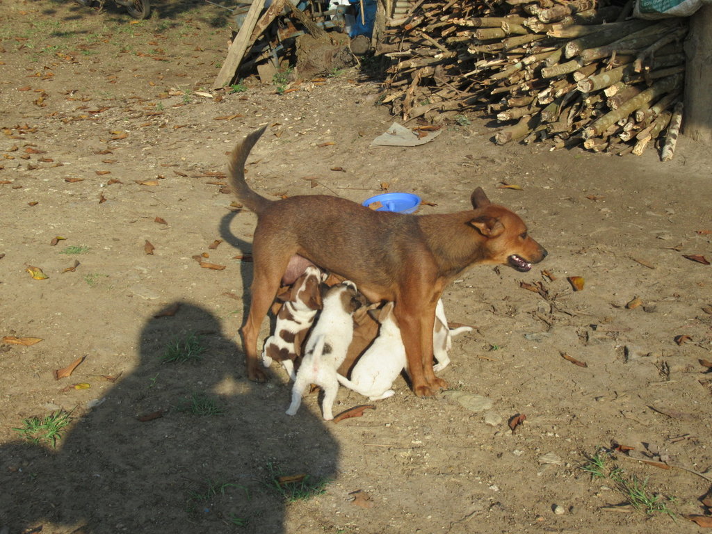 IMG_1960.JPG IMG_1960.JPG