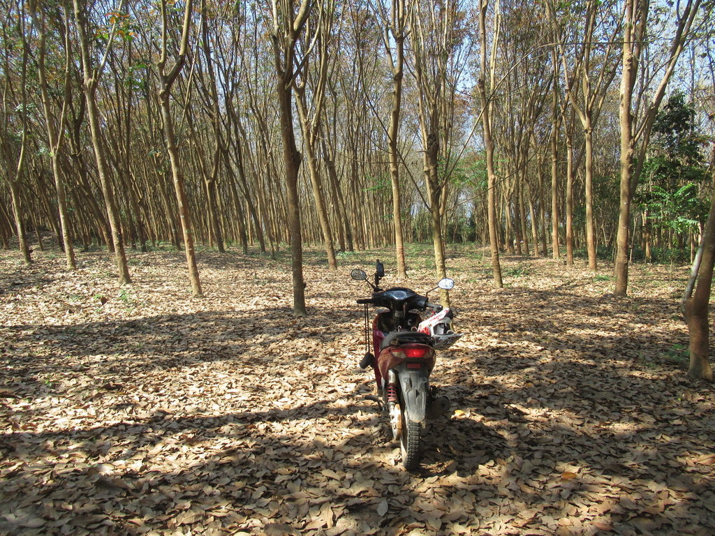 IMG_2209.JPG IMG_2209.JPG