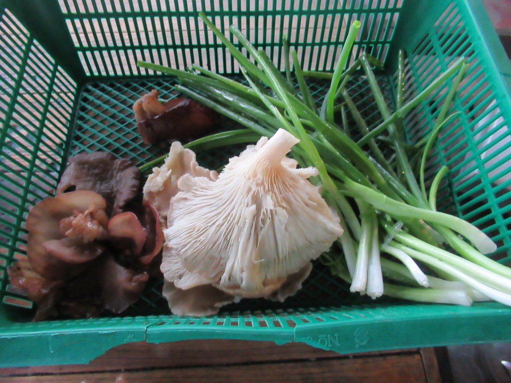 IMG_2327a (1).JPG IMG_2327a (1).JPG