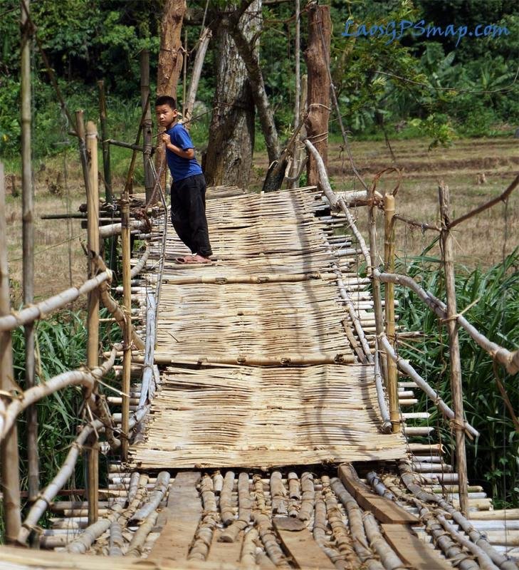 bamboo-kid.jpg bamboo-kid.jpg