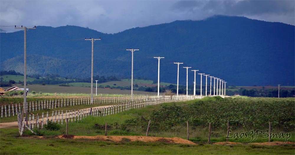 power-poles.jpg