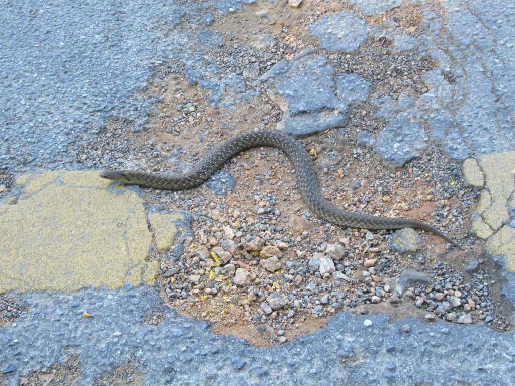 IMG_2841.JPG IMG_2841.JPG