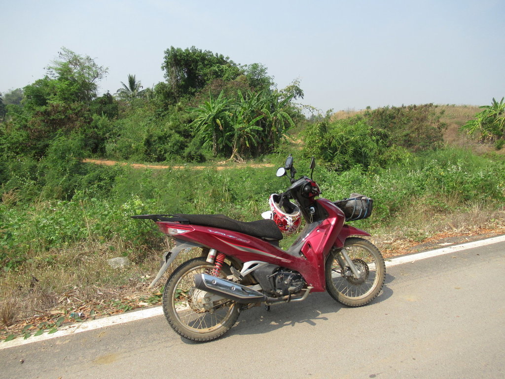 IMG_3471.JPG IMG_3471.JPG