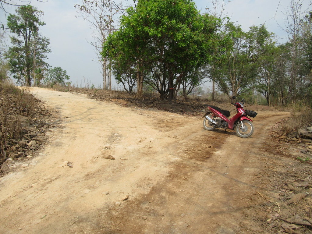 73556 73556