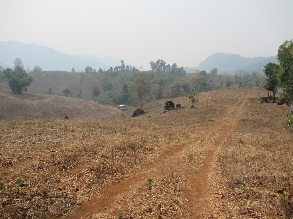 75006 75006