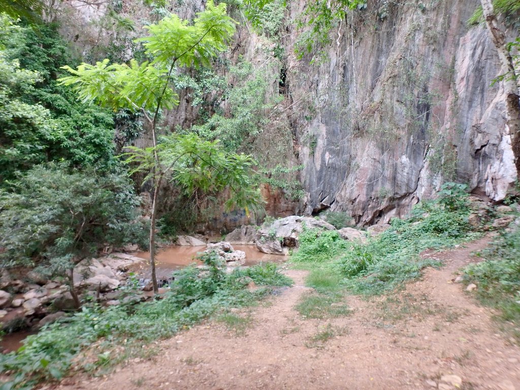 1 - 5.jpg 1 - 5.jpg