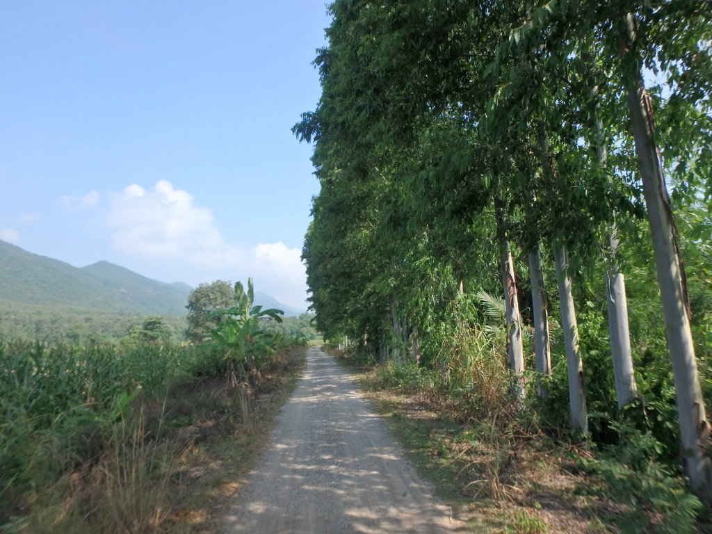 PA021352.JPG PA021352.JPG