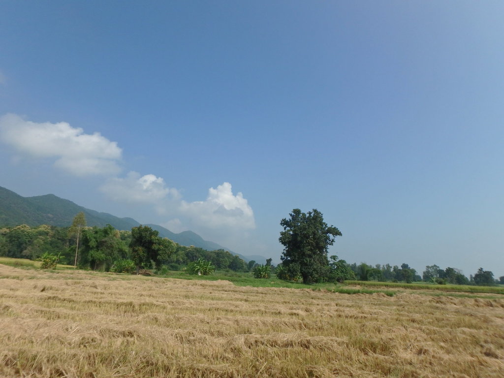 PA021355.JPG PA021355.JPG